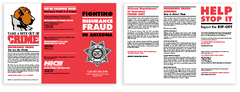 NICB Brochure